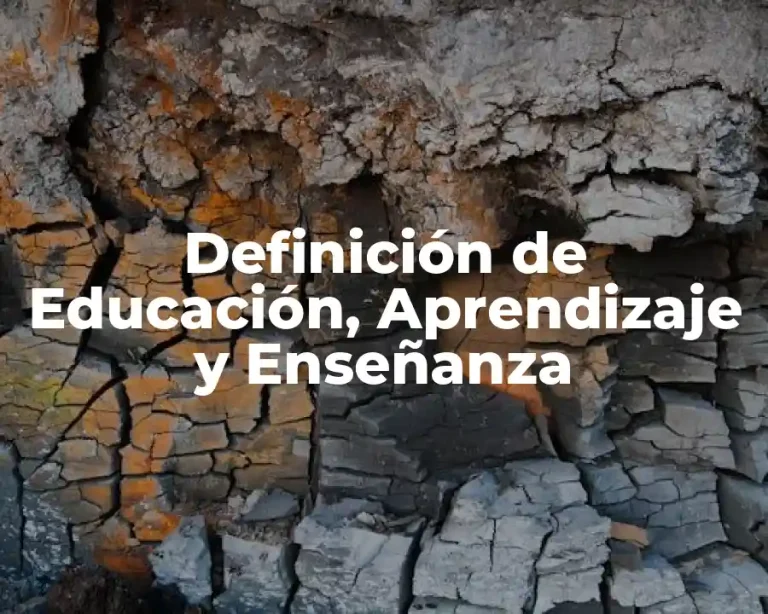 Definición de Educación, Aprendizaje y Enseñanza