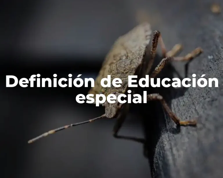 Definición de Educación especial