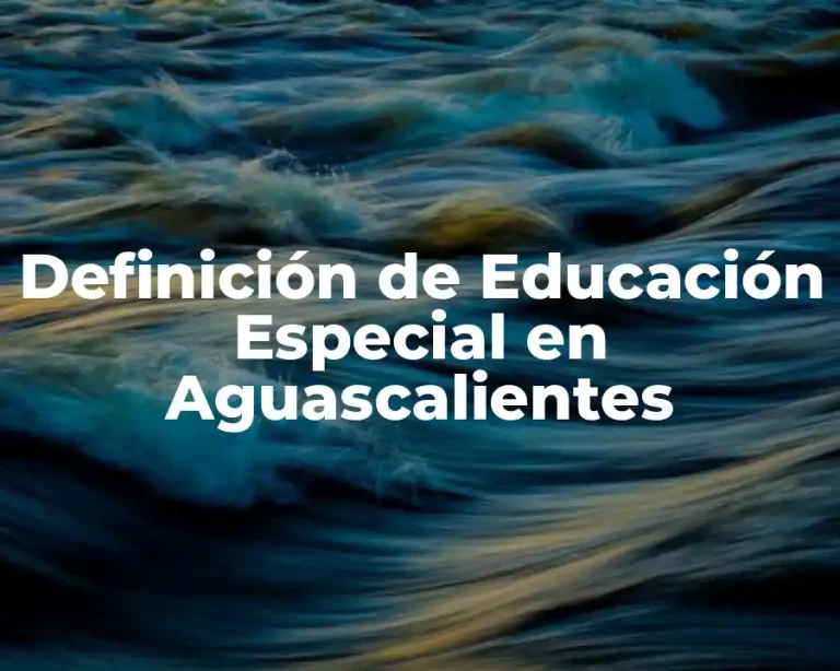 Definición de Educación Especial en Aguascalientes
