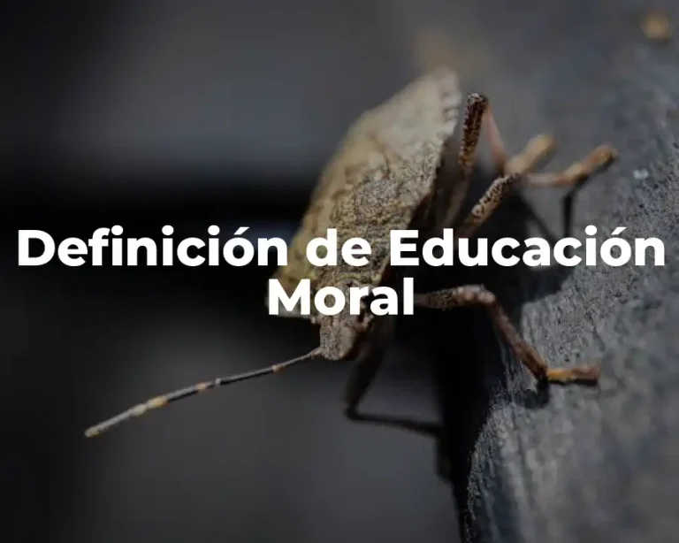 Definición de Educación Moral
