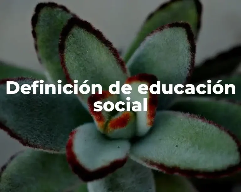 Definición de educación social