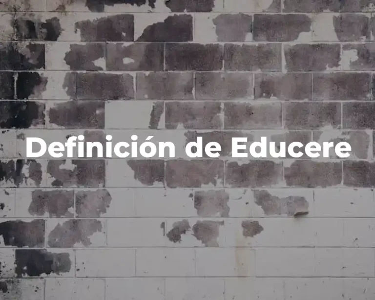 Definición de Educere