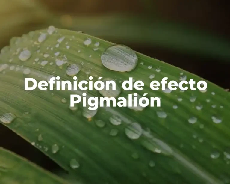 Definición de efecto Pigmalión
