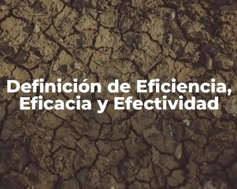 Definición de Eficiencia, Eficacia y Efectividad
