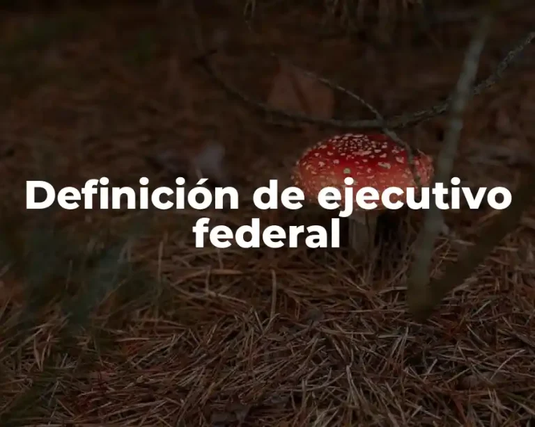 Definición de ejecutivo federal