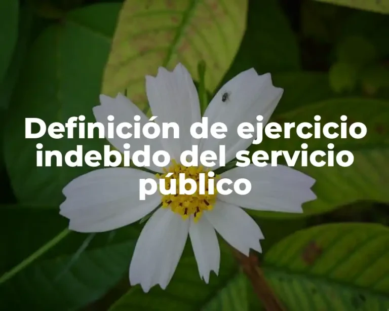 Definición de ejercicio indebido del servicio público