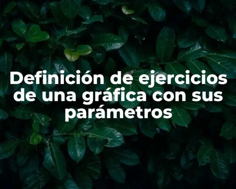 Definición de ejercicios de una gráfica con sus parámetros