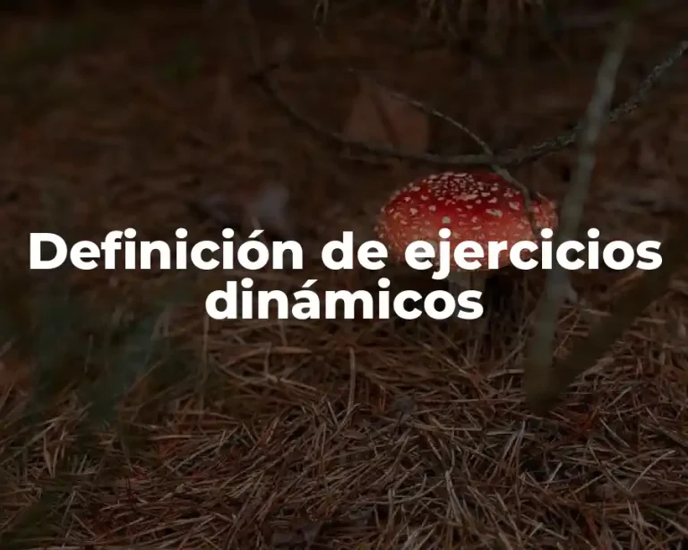 Definición de ejercicios dinámicos