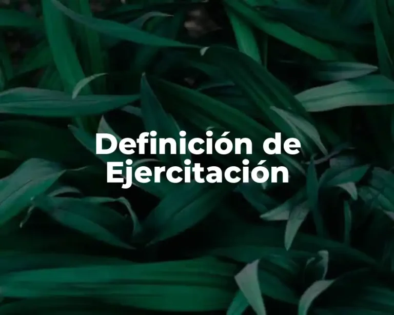 Definición de Ejercitación