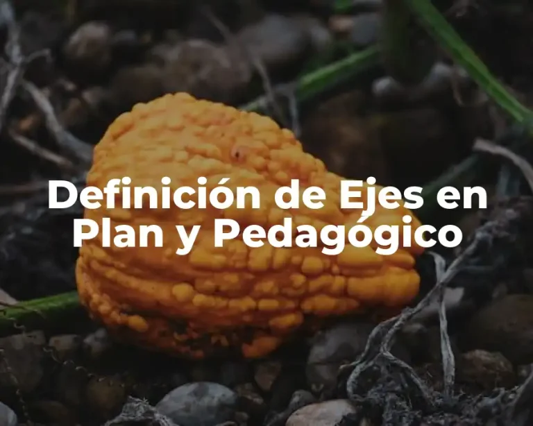Definición de Ejes en Plan y Pedagógico