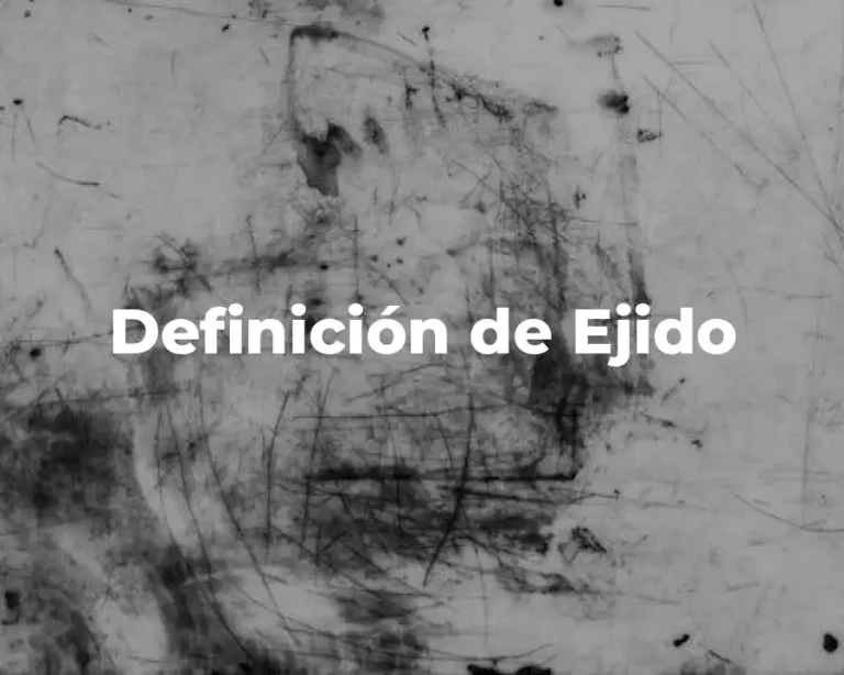 Definición de Ejido