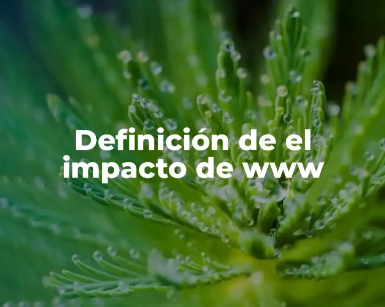 Definición de el impacto de www