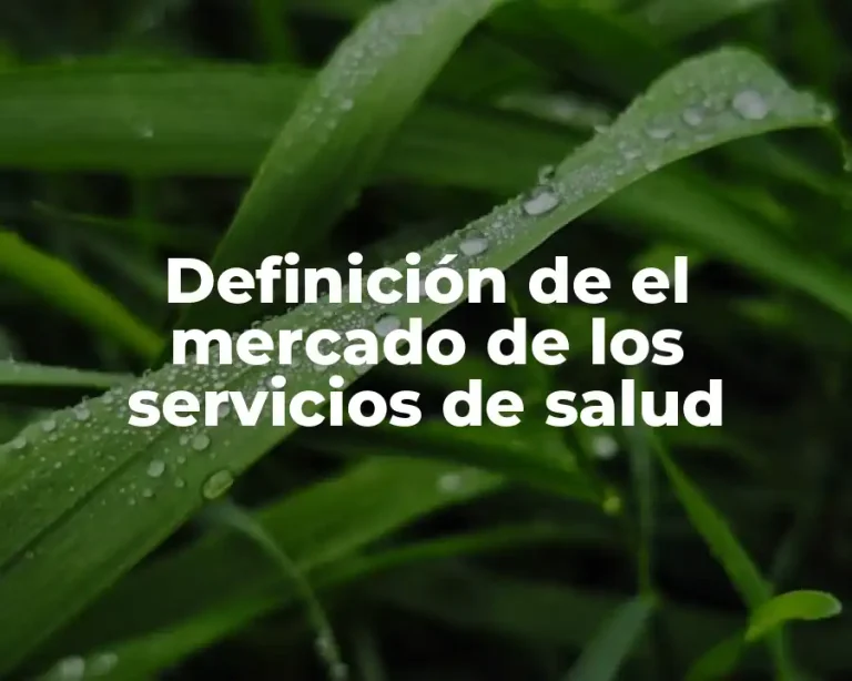 Definición de el mercado de los servicios de salud