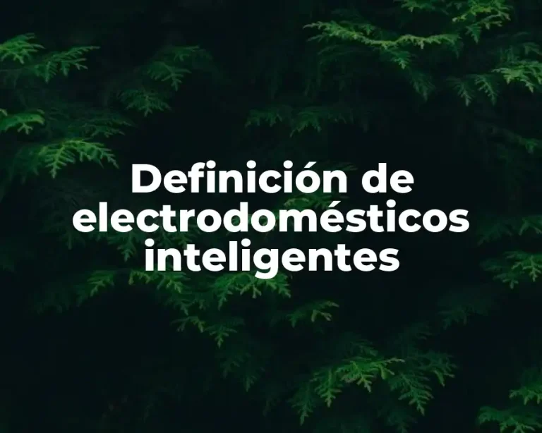 Definición de electrodomésticos inteligentes