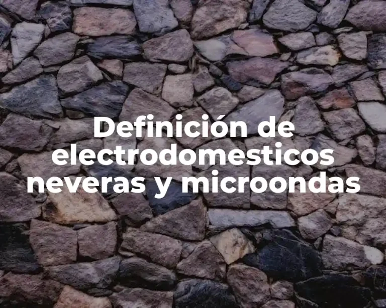 Definición de electrodomesticos neveras y microondas