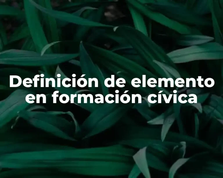 Definición de elemento en formación cívica