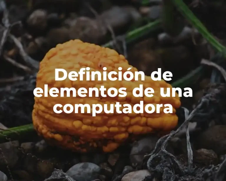 Definición de elementos de una computadora