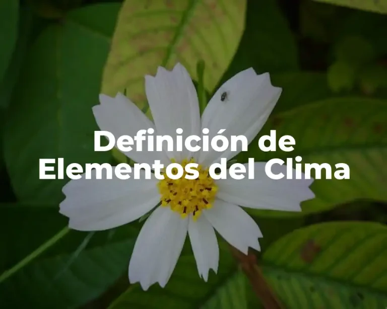 Definición de Elementos del Clima