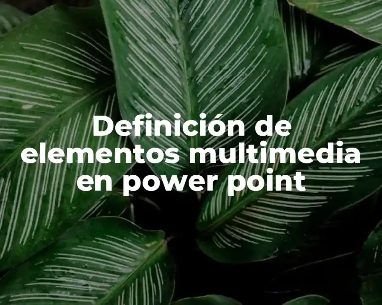 Definición de elementos multimedia en power point