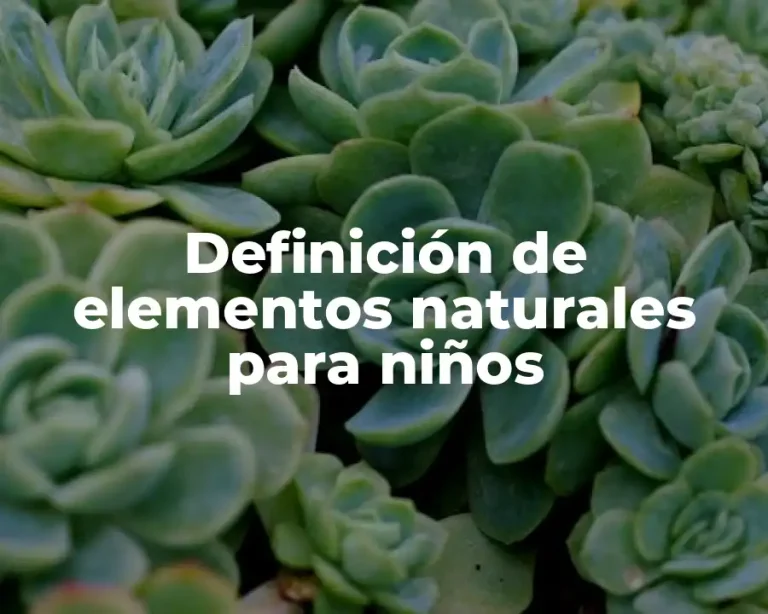 Definición de elementos naturales para niños