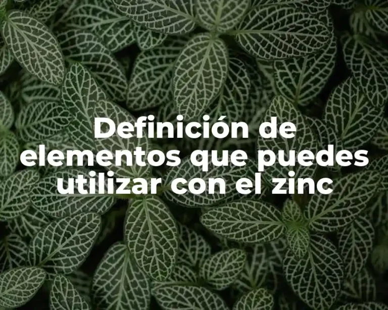 Definición de elementos que puedes utilizar con el zinc