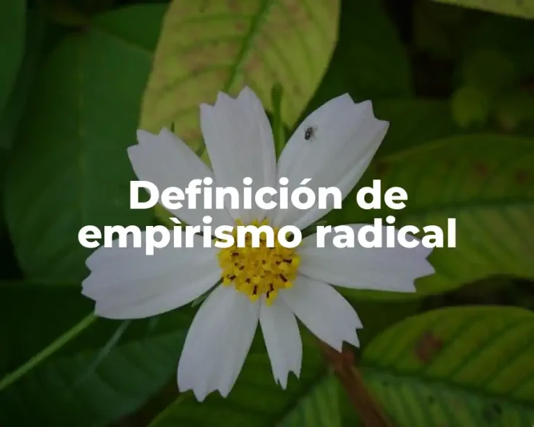 Definición de empìrismo radical