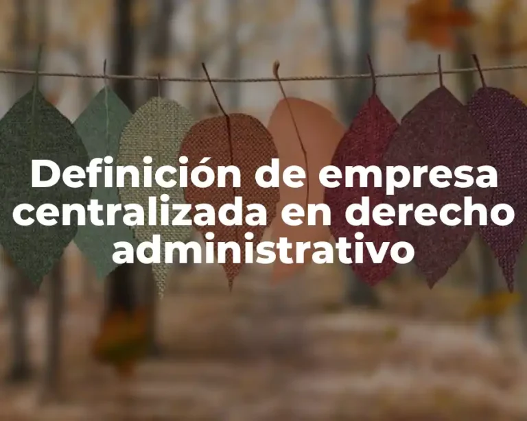Definición de empresa centralizada en derecho administrativo