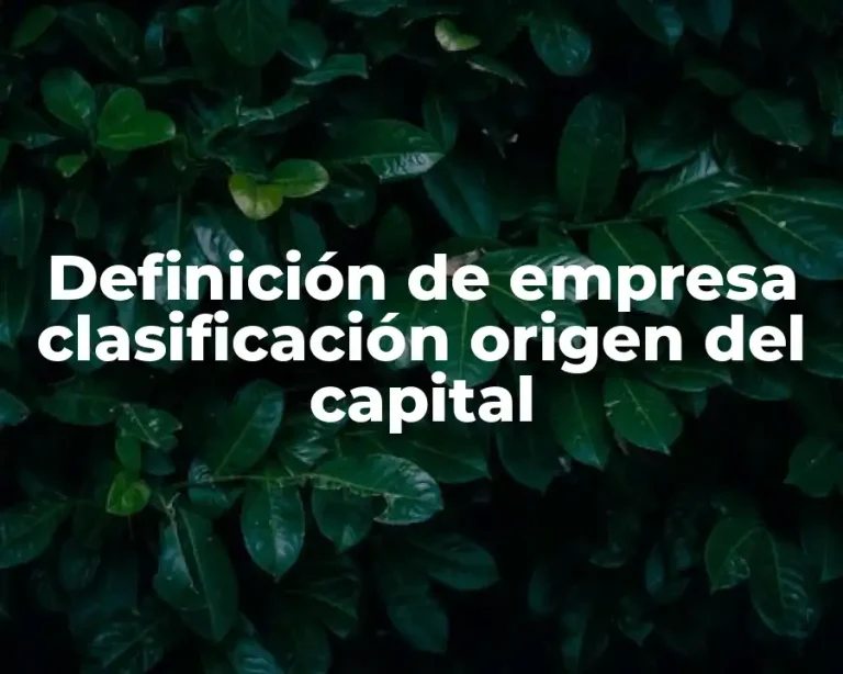Definición de empresa clasificación origen del capital