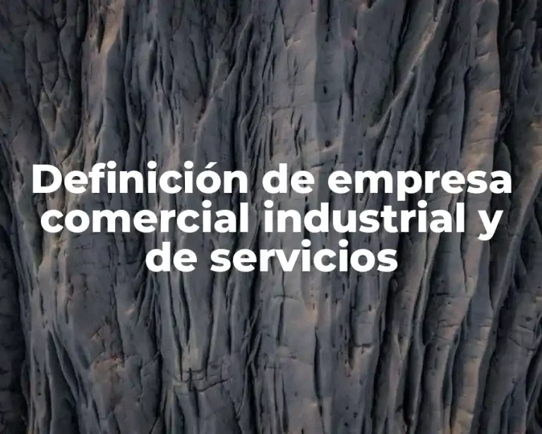 Definición de empresa comercial industrial y de servicios