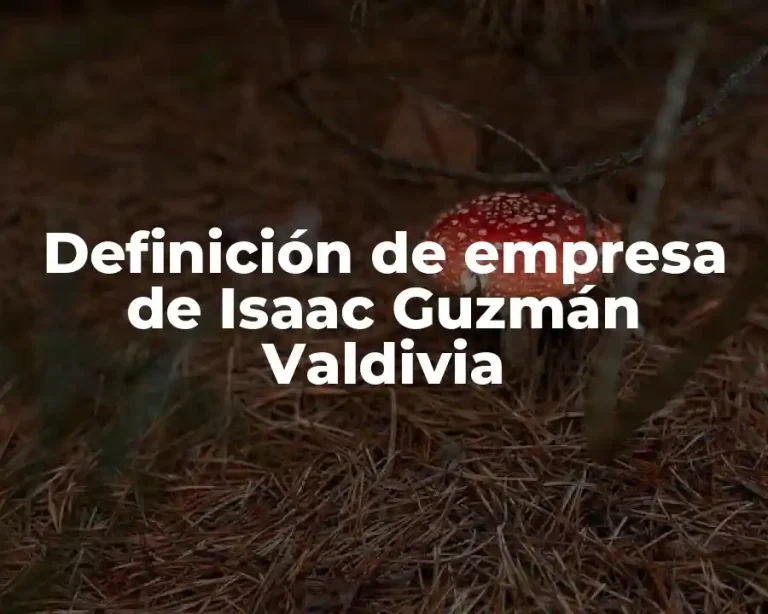 Definición de empresa de Isaac Guzmán Valdivia