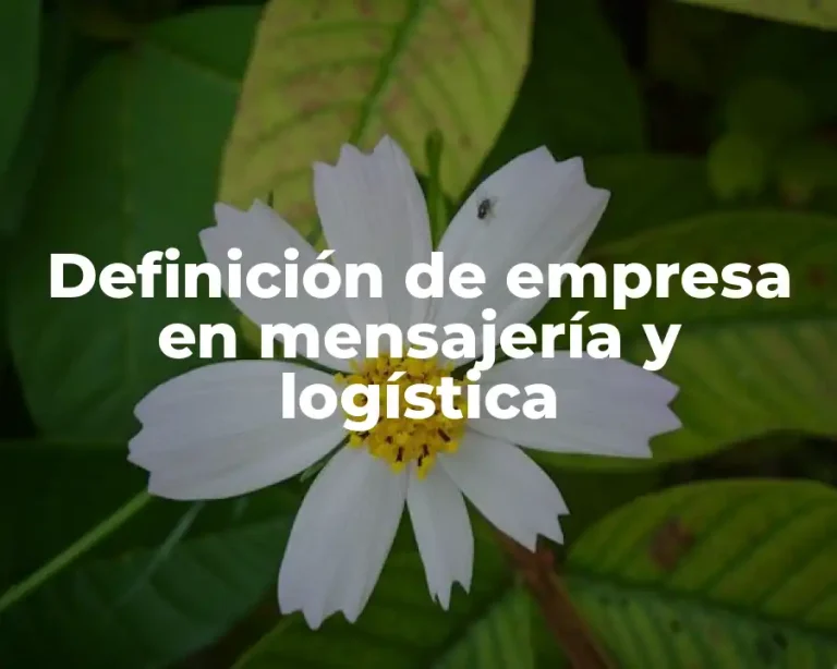 Definición de empresa en mensajería y logística