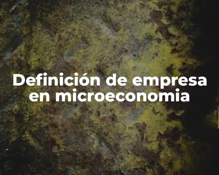 Definición de empresa en microeconomia