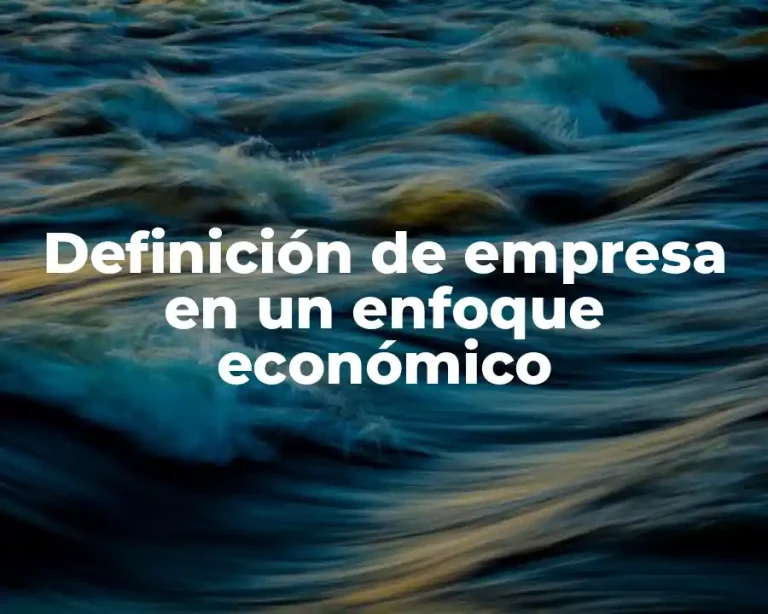 Definición de empresa en un enfoque económico