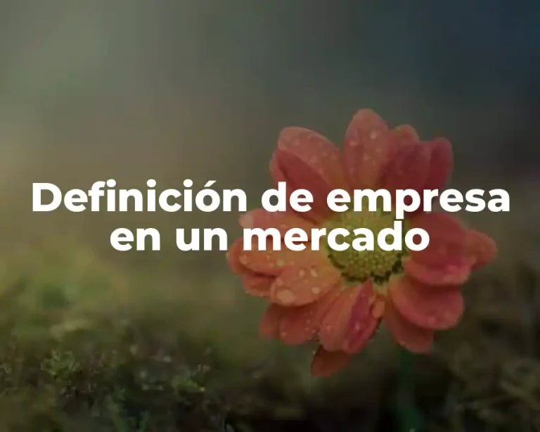 Definición de empresa en un mercado