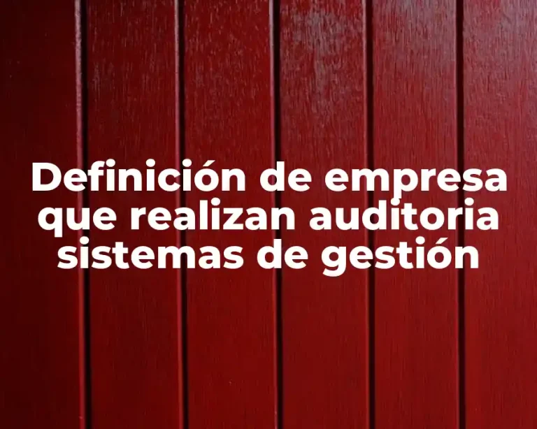 Definición de empresa que realizan auditoria sistemas de gestión