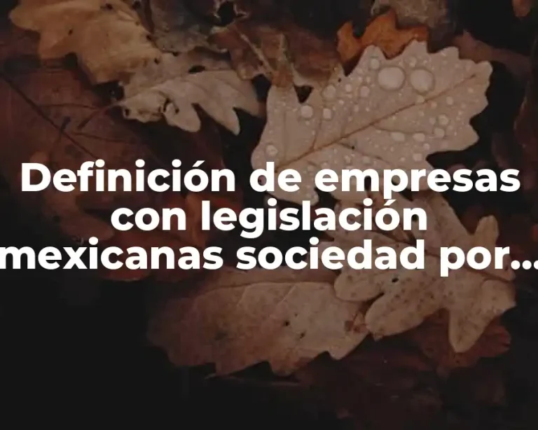 Definición de empresas con legislación mexicanas sociedad por acciones