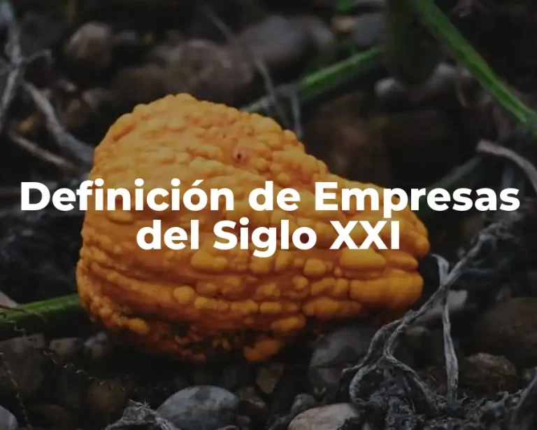 Definición de Empresas del Siglo XXI