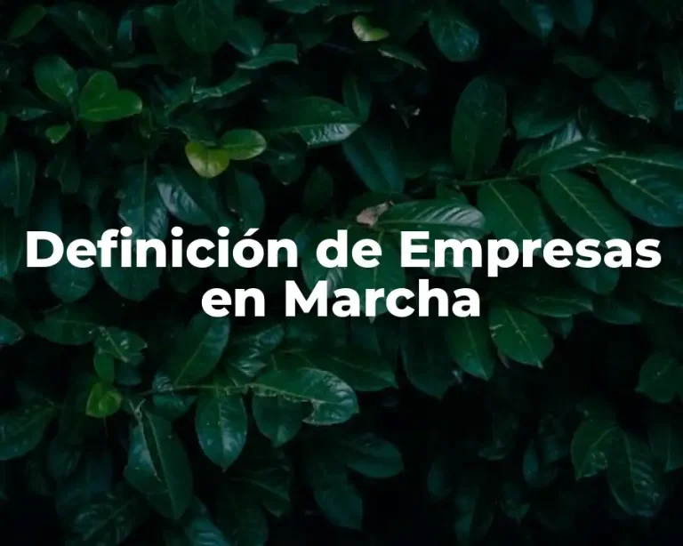 Definición de Empresas en Marcha