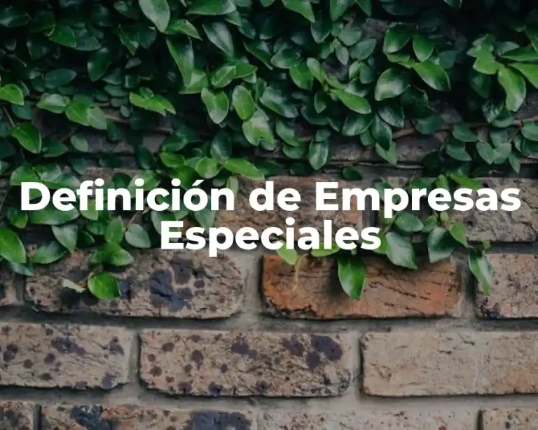 Definición de Empresas Especiales