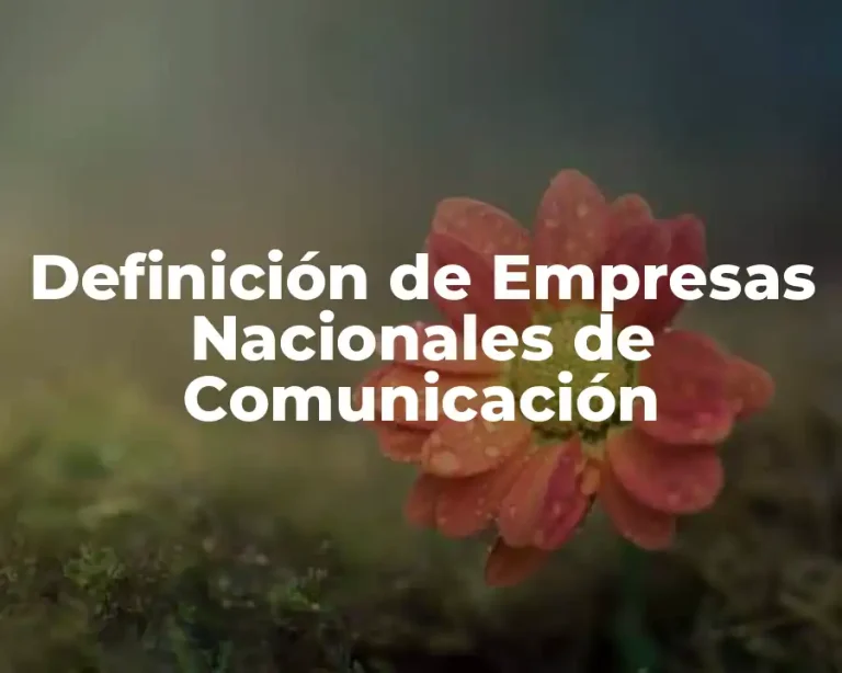 Definición de Empresas Nacionales de Comunicación