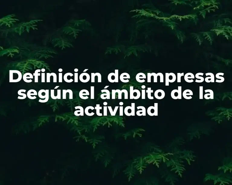 Definición de empresas según el ámbito de la actividad