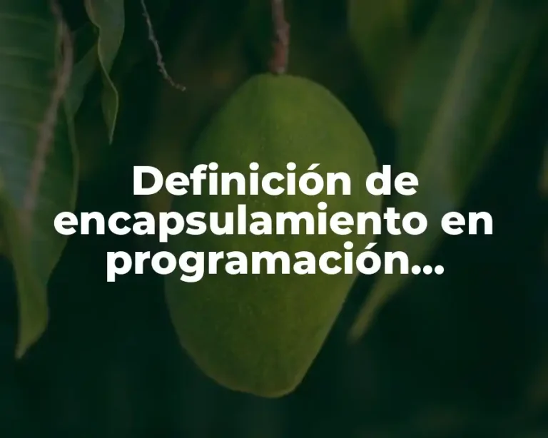 Definición de encapsulamiento en programación orientada a objetos