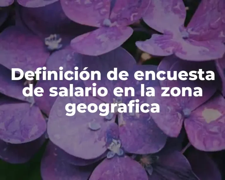 Definición de encuesta de salario en la zona geografica
