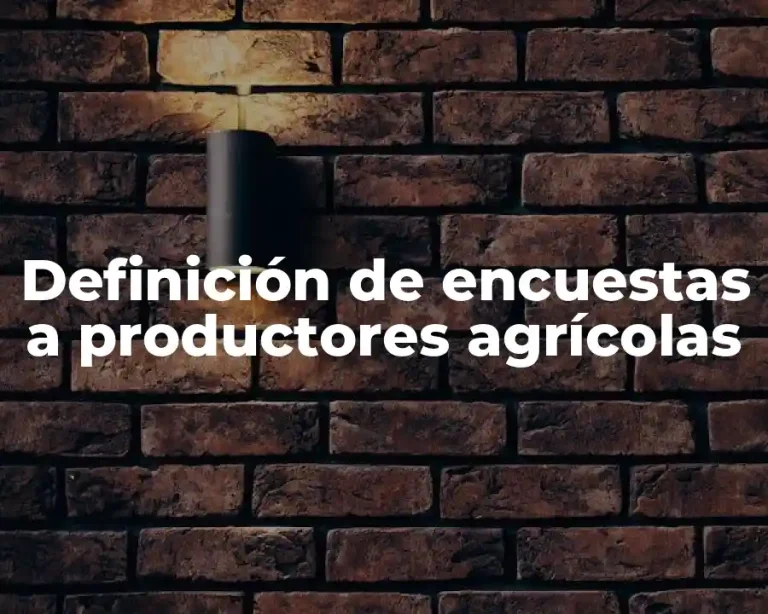 Definición de encuestas a productores agrícolas