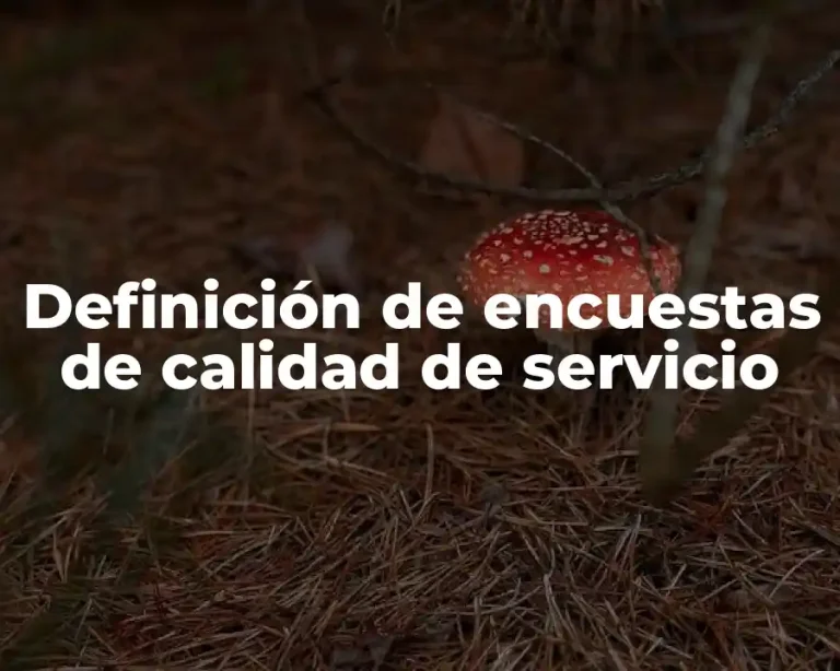 Definición de encuestas de calidad de servicio