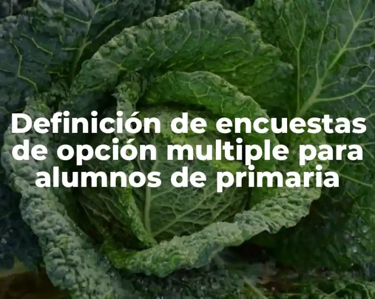 Definición de encuestas de opción multiple para alumnos de primaria