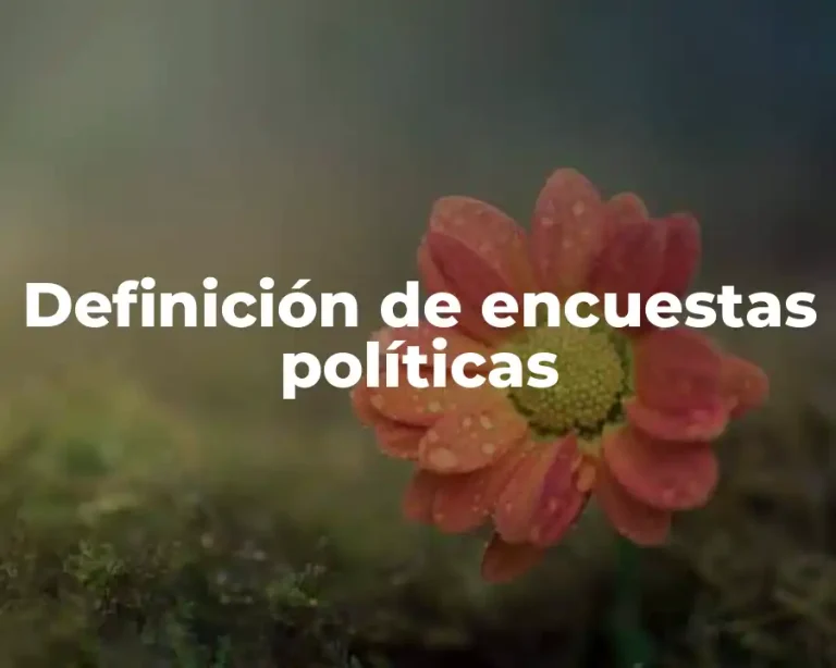Definición de encuestas políticas