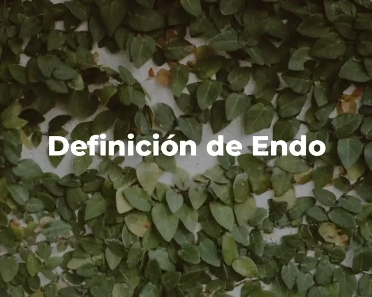Definición de Endo