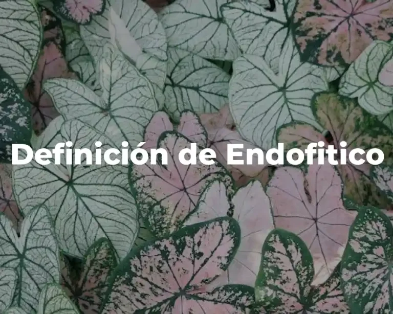 Definición de Endofitico