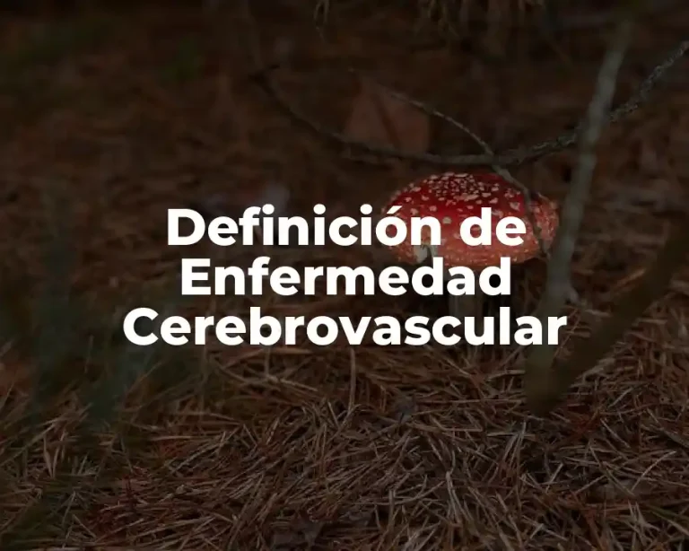 Definición de Enfermedad Cerebrovascular